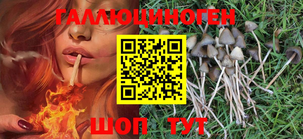 Выкса  Галлюциногенные грибы Magic Shrooms  Вход с VPN 